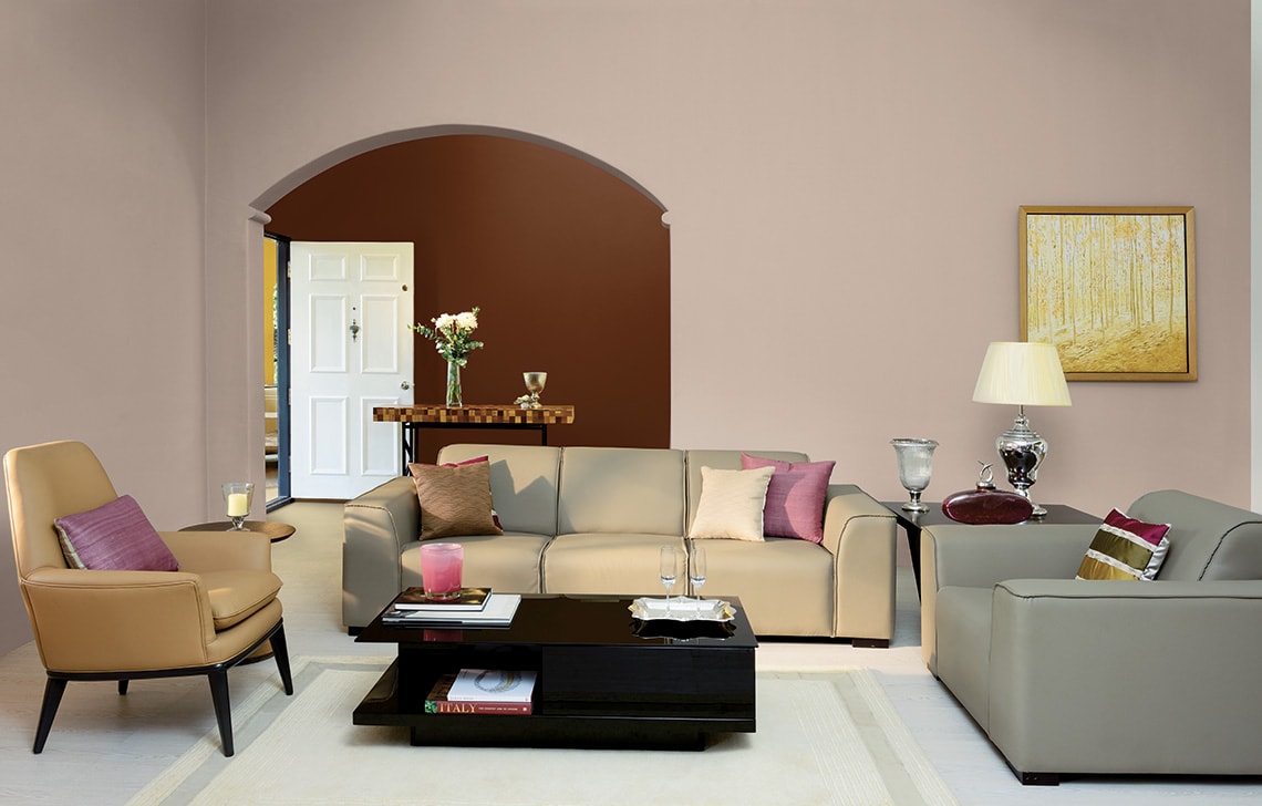 Best Royale Paint For Living Room